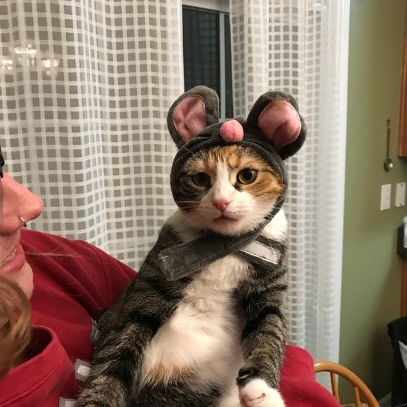 Meet your Posher, Laura - Picture 2 of 7